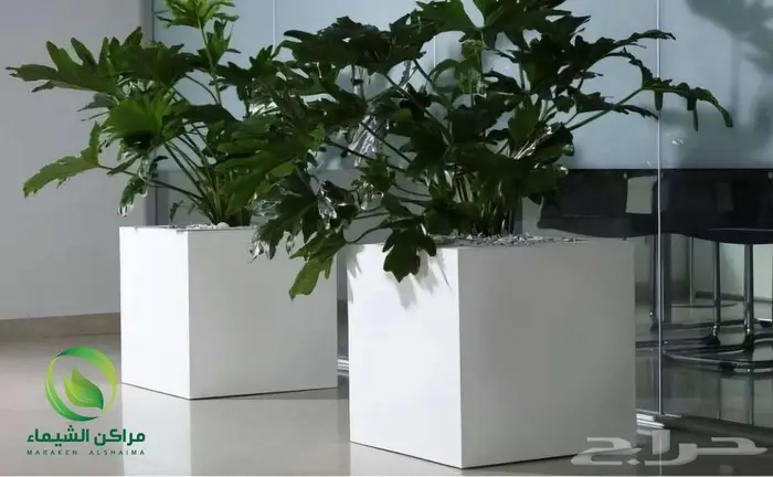 احواض زرع جاهزة جملة فايبر ومراكن للاشجار الباحة 42
