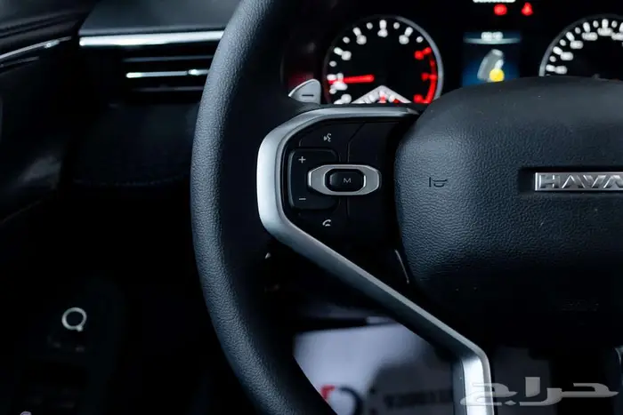 هافال جوليان بيسك 2026 قسطها بكل سهوله مع الدمعان 7