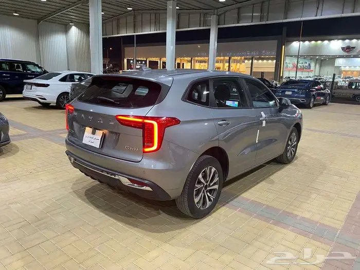 هافال جوليان جيب 2024 3