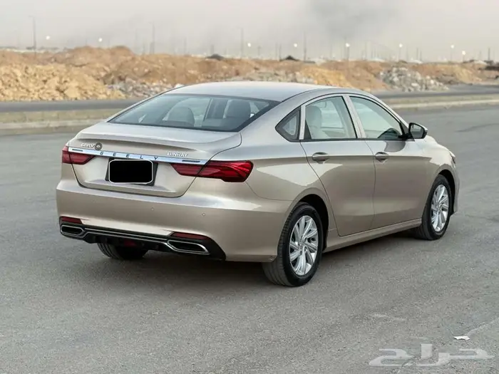 جيلي بينراي 2020 1