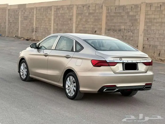 جيلي بينراي 2020 5