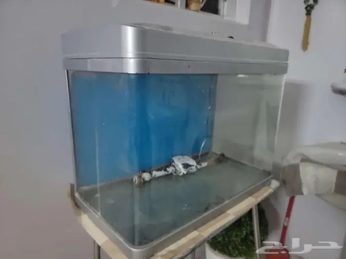 حوض اسماك جيب 1