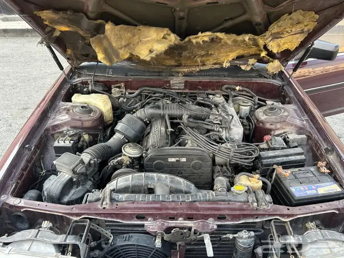 كرسيدا قراندي 85 19