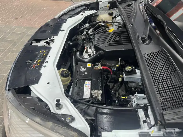 فان رينو دوكر 2022 نضيف جدا 31