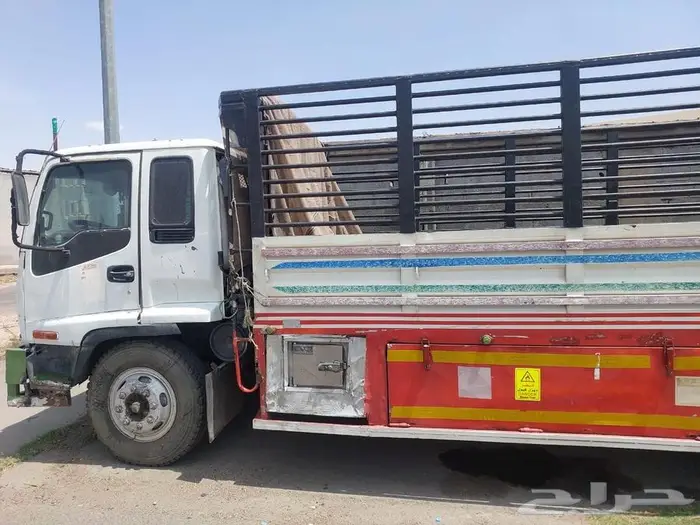 دينا ايسوزو لوري 1