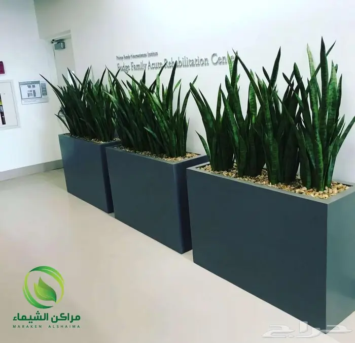 احواض زرع جاهزة جملة فايبر ومراكن للاشجار الباحة 32