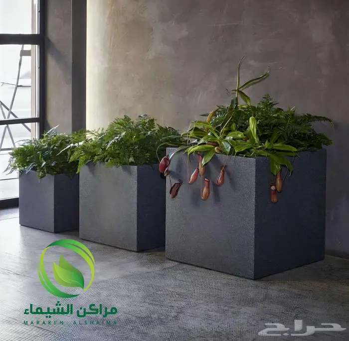 احواض زرع جاهزة جملة فايبر ومراكن للاشجار الباحة 51