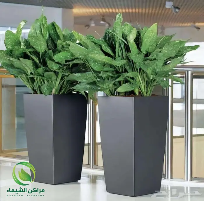 احواض زرع جاهزة جملة فايبر ومراكن للاشجار الباحة 43