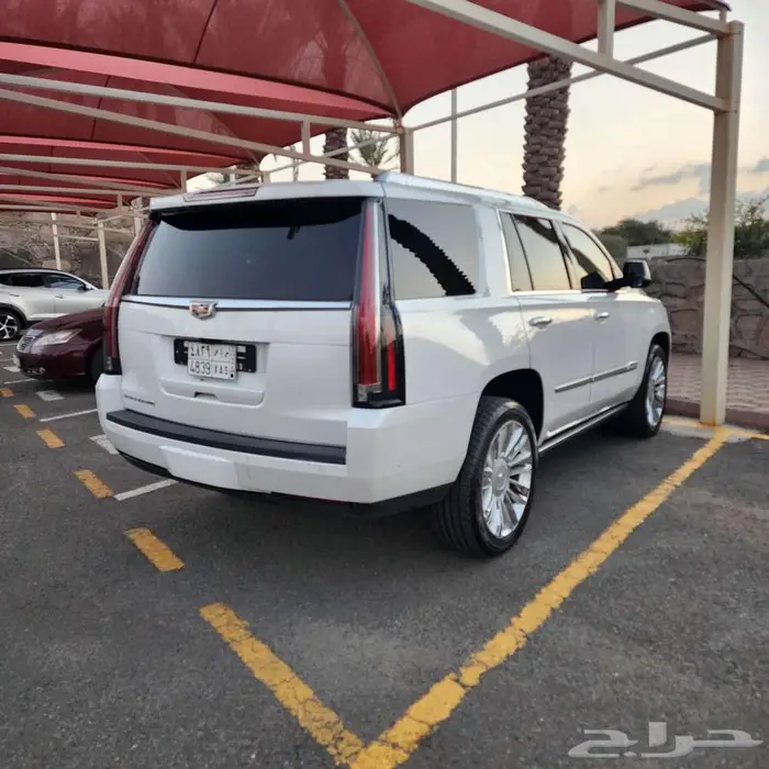 كاديلك سكاليد بلاتينيوم فل كامل 2020 نظيفة جدا 2