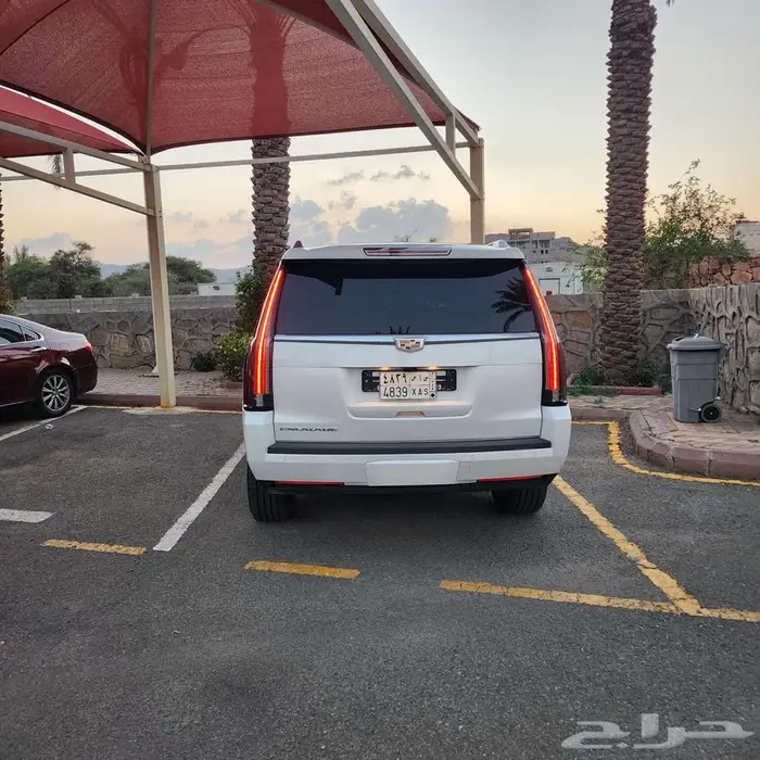 كاديلك سكاليد بلاتينيوم فل كامل 2020 نظيفة جدا 16