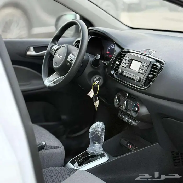 بريدة حي الجزيرة المعارض 3