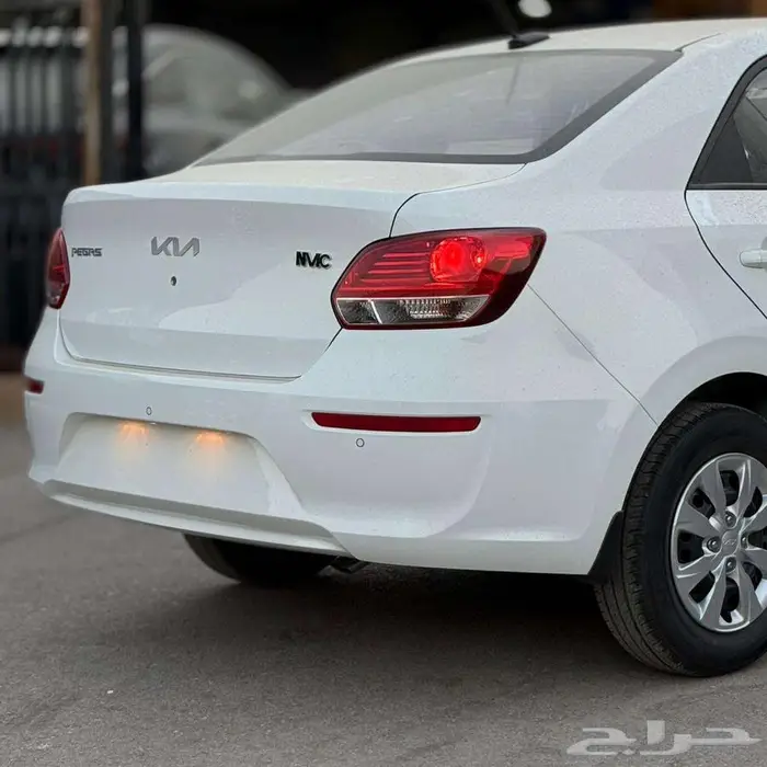 بريدة حي الجزيرة المعارض 4