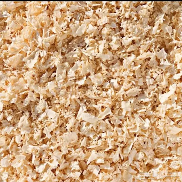 نشارة خشب خيل ودواجن 3