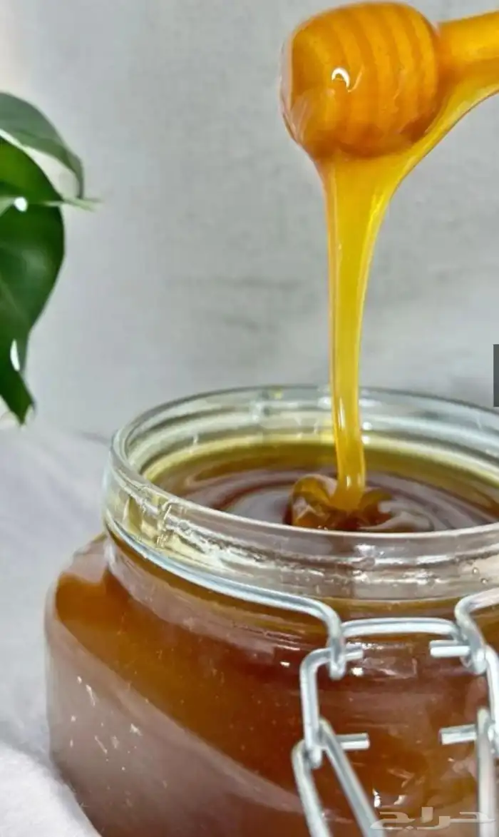 عسل سدر انتاج جديد ع شرط 1