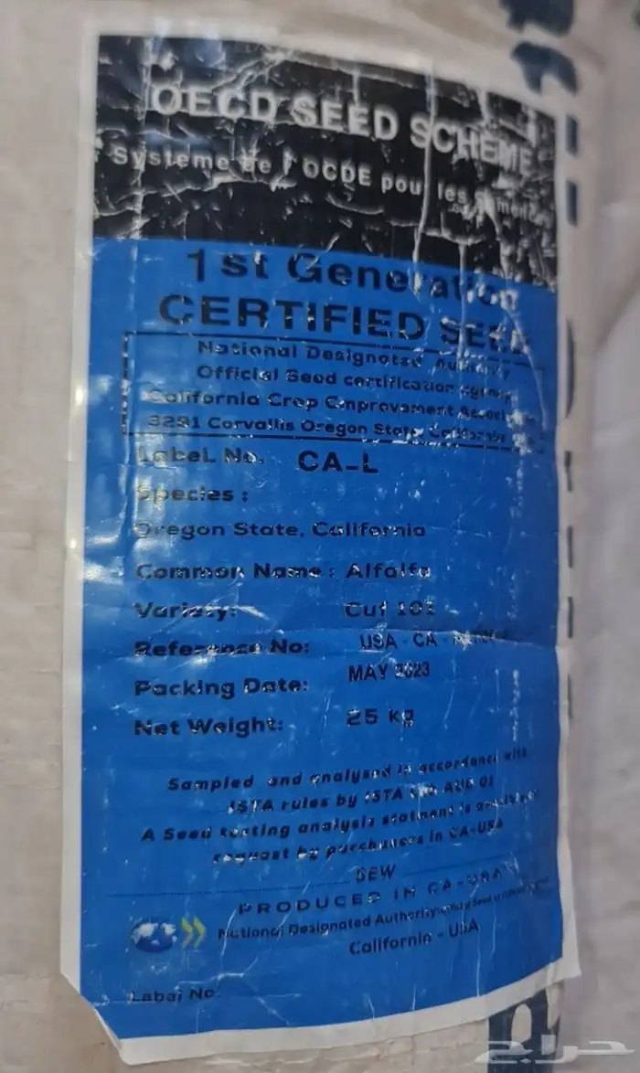 بذور برسيم امريكي باسفيك انترناشنال 1