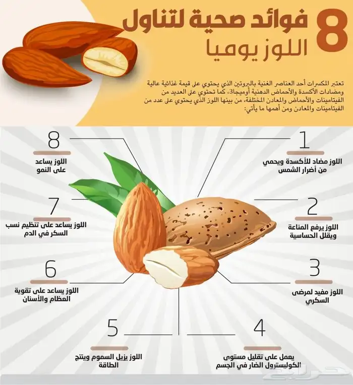 لوز بلدي جبري يمني 0