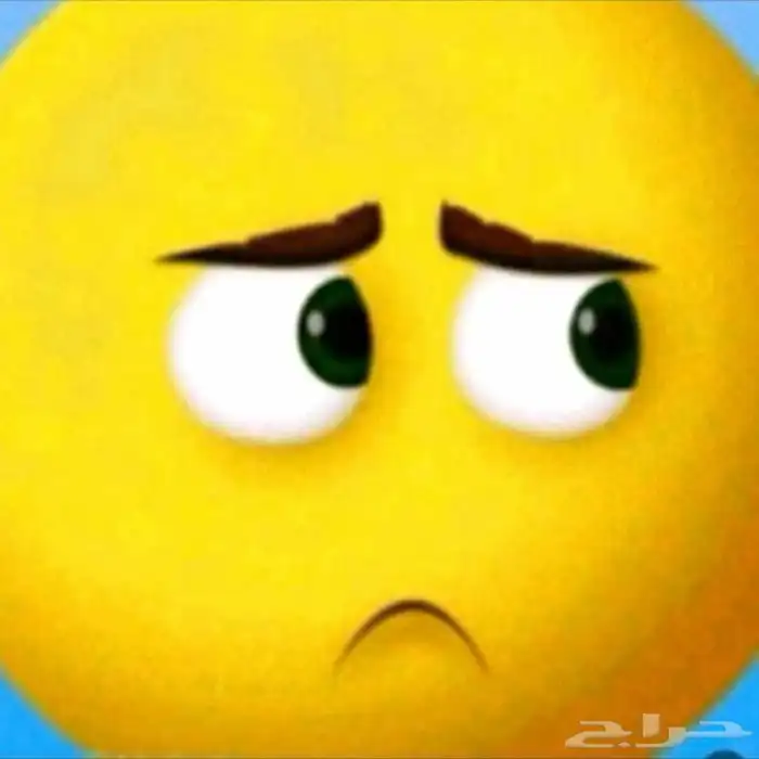 تاجير شاشات وصوتيات 1