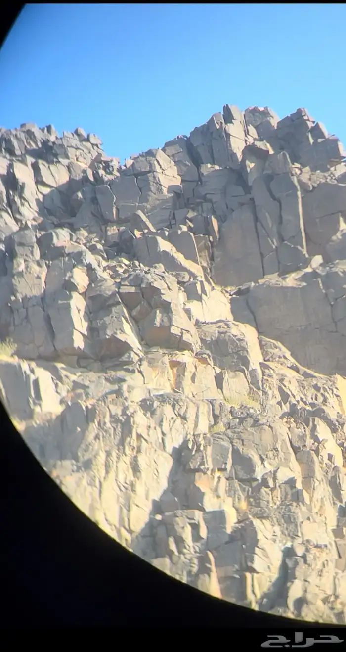 للبيع دربيل الصقر 3