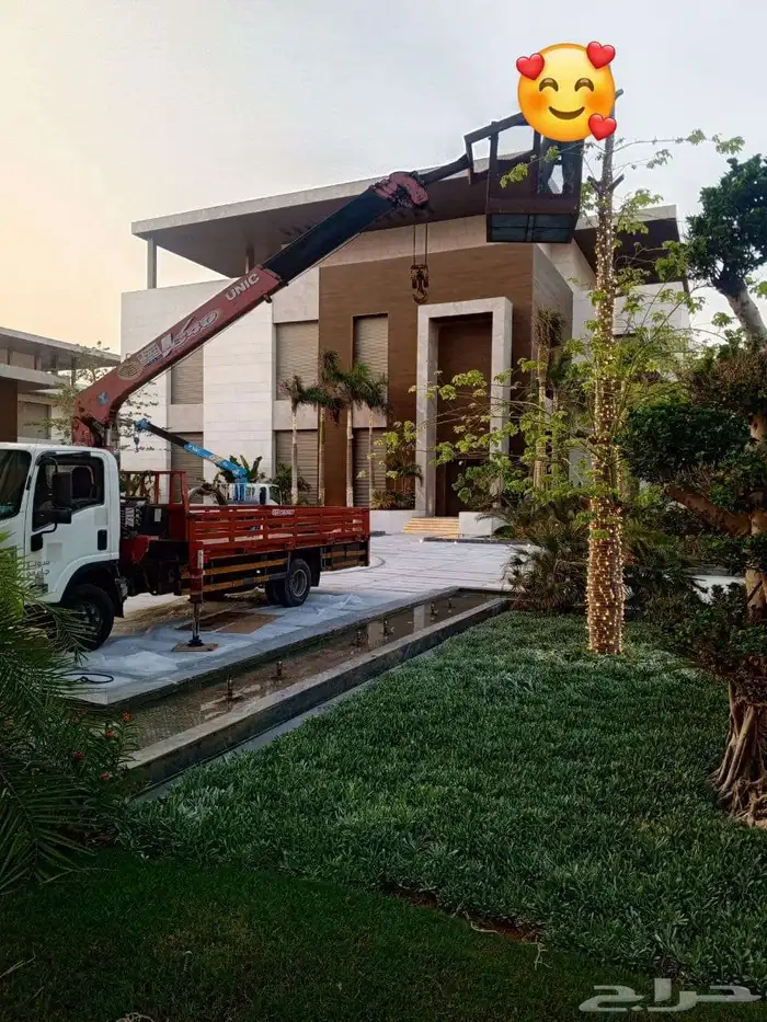 دينا ونش سطه رافعات دينا كرين سله باسكت للايجار 0