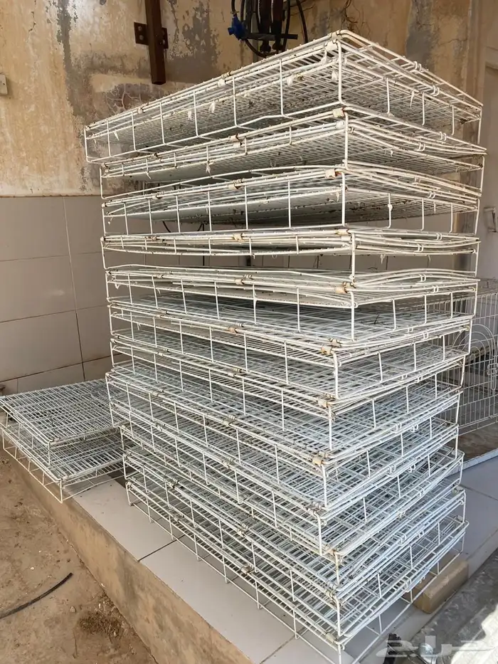 القصيم عنيزه 4