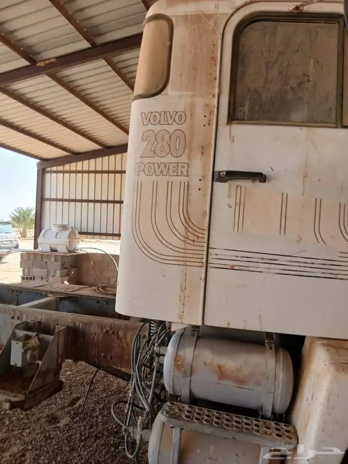 فلفو عايدي شاص للبيع 10