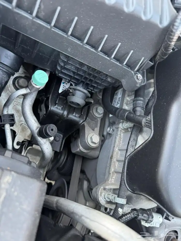 سبارك 2020 ممشى 59 20