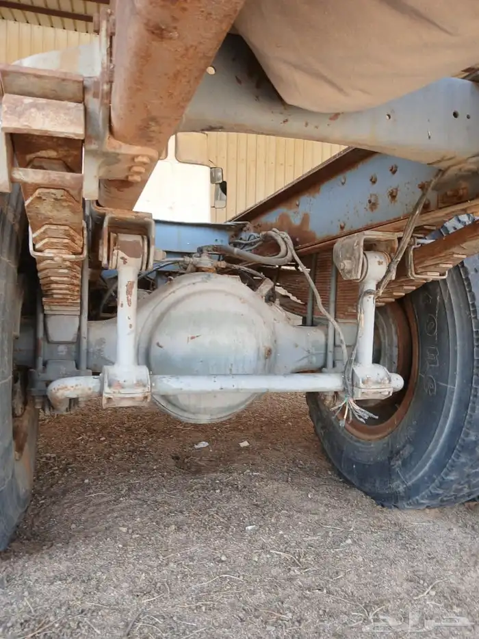 فلفو عايدي شاص للبيع 4