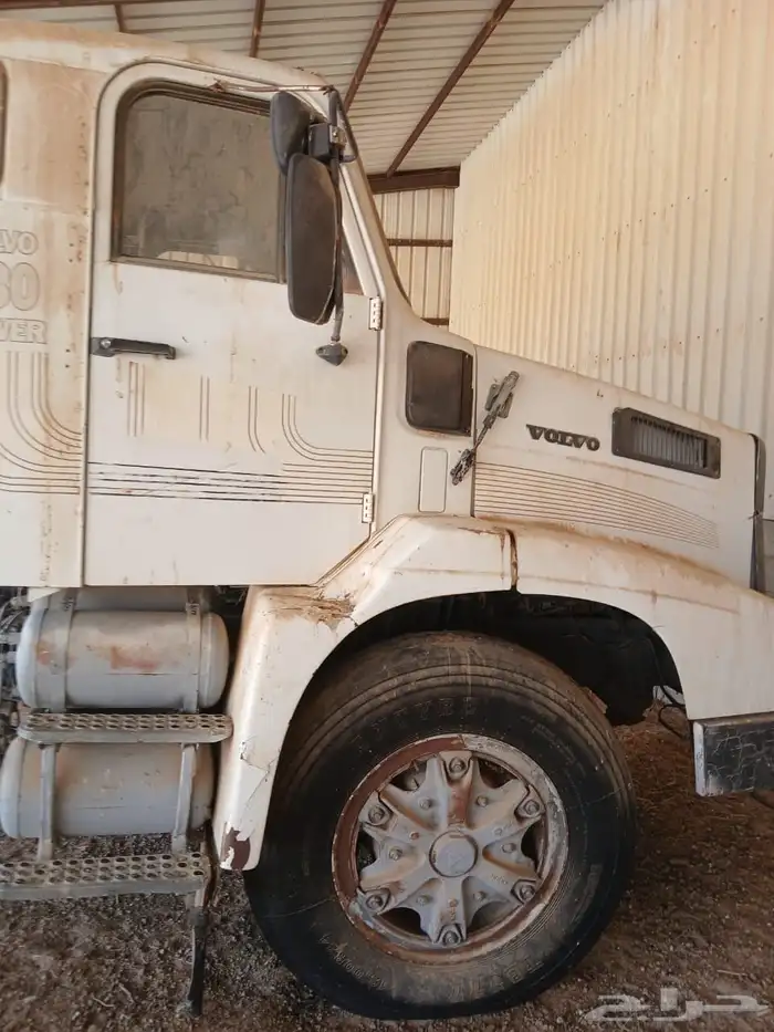 فلفو عايدي شاص للبيع 9