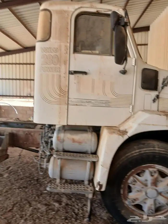 فلفو عايدي شاص للبيع 6