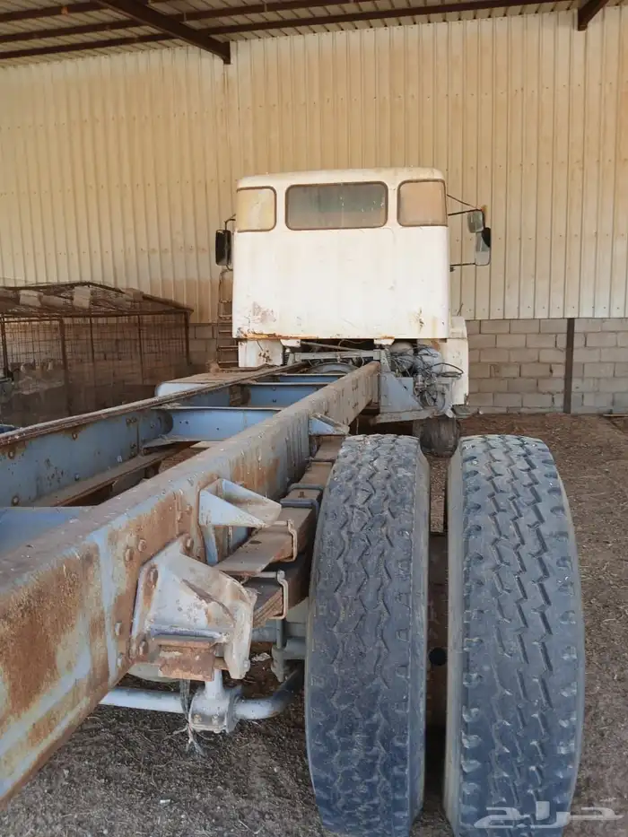 فلفو عايدي شاص للبيع 13