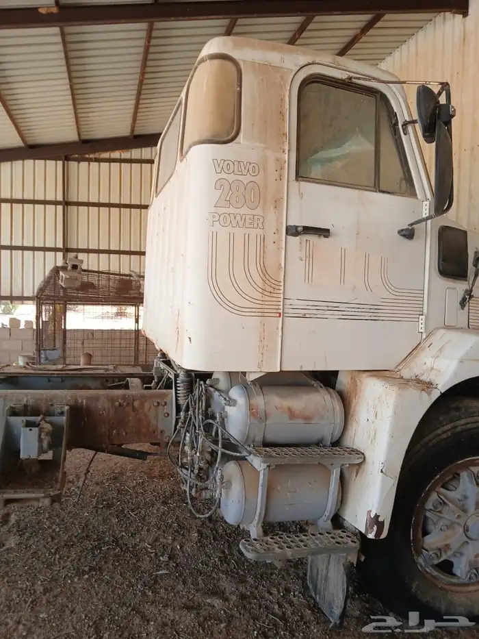 فلفو عايدي شاص للبيع 0