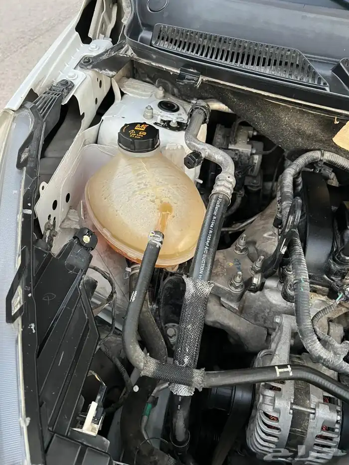 فورد فيجو 2019 نظيفه 13