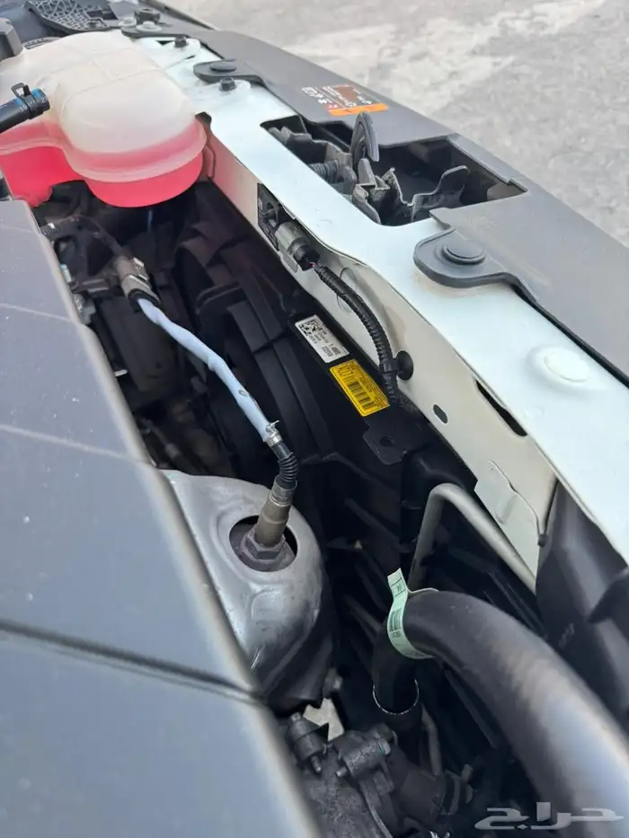 سبارك 2020 ممشى 59 25