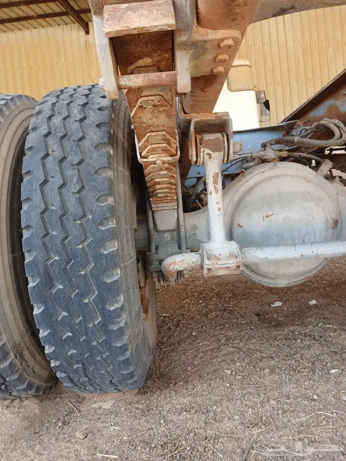 فلفو عايدي شاص للبيع 8