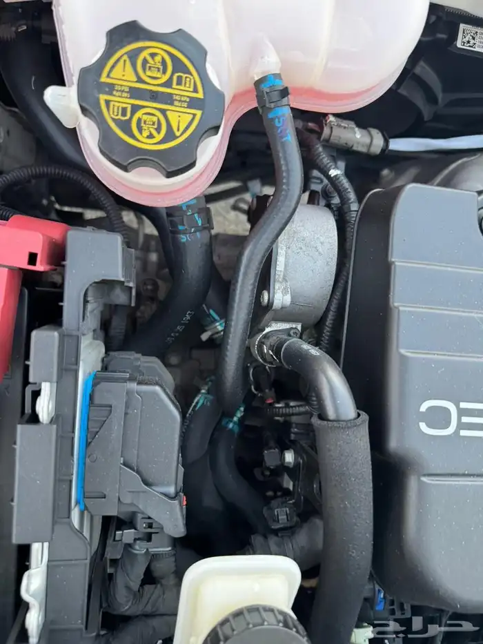 سبارك 2020 ممشى 59 24