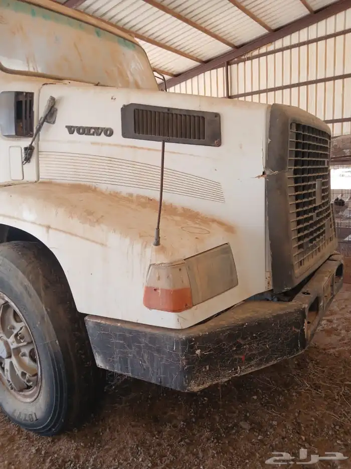 فلفو عايدي شاص للبيع 1