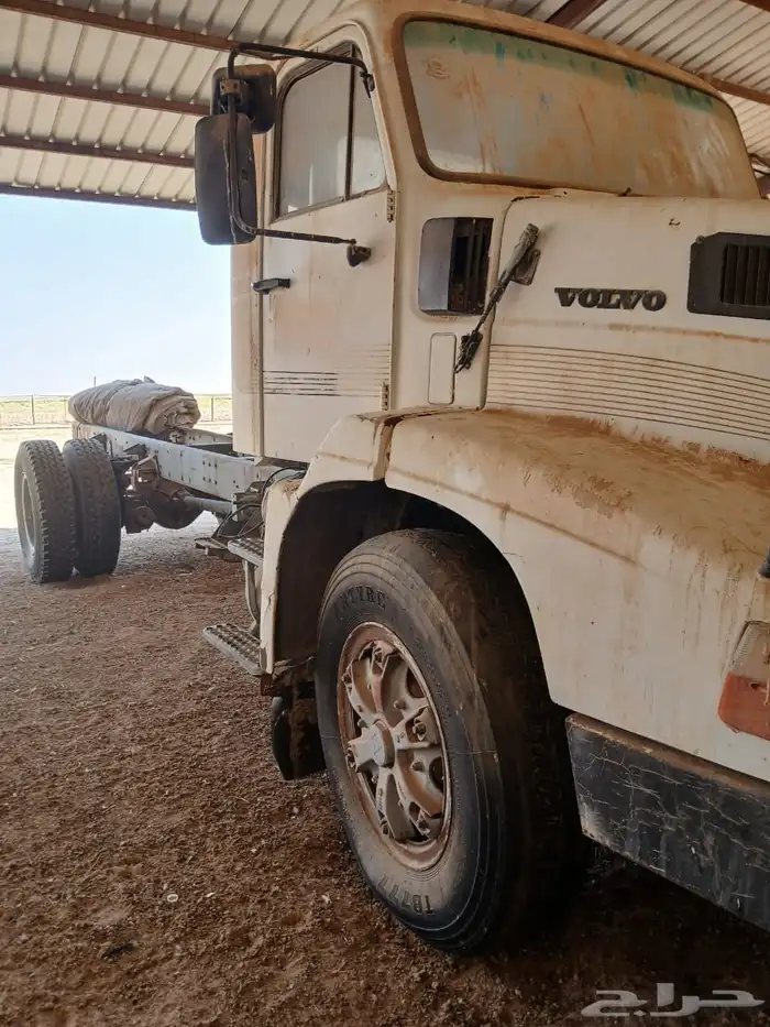 فلفو عايدي شاص للبيع 11