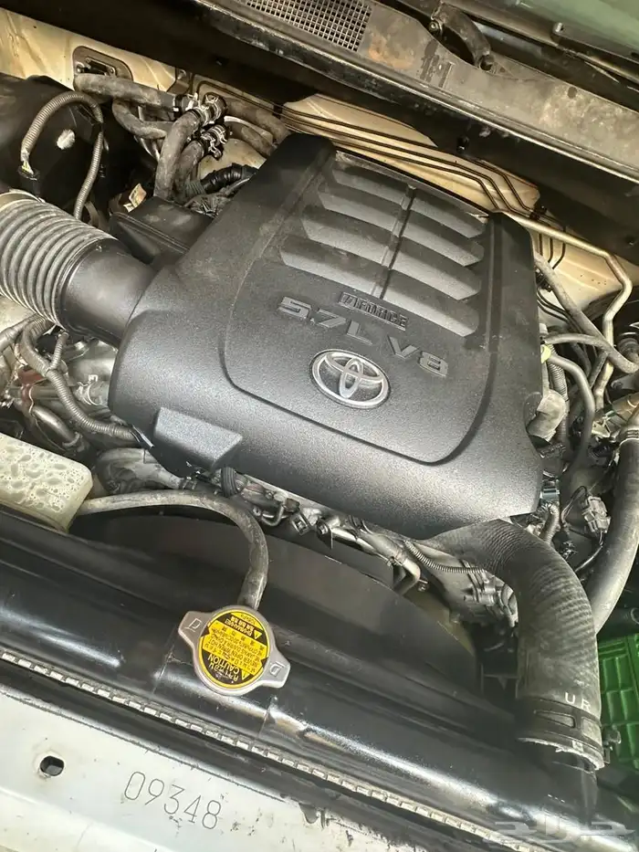 مكاين سكويا 0