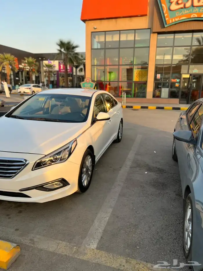 ممشى قليل المجدوعي 0