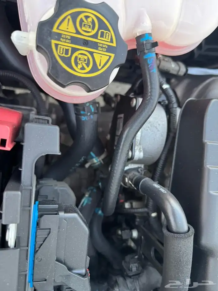 سبارك 2020 ممشى 59 22