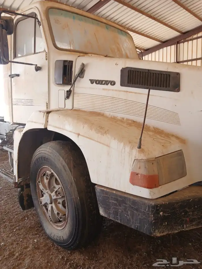 فلفو عايدي شاص للبيع 2