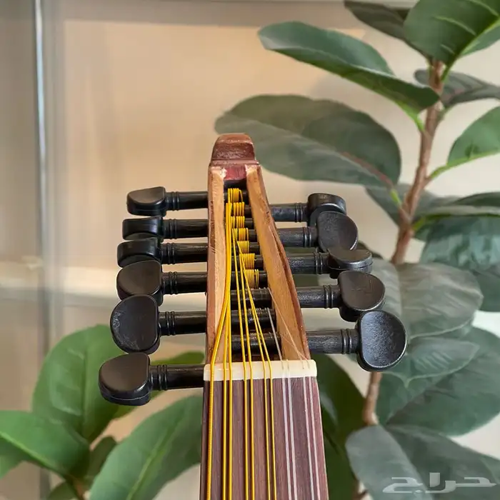 عود رزين الاحترافي 2