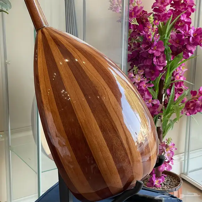 عود رزين الاحترافي 4