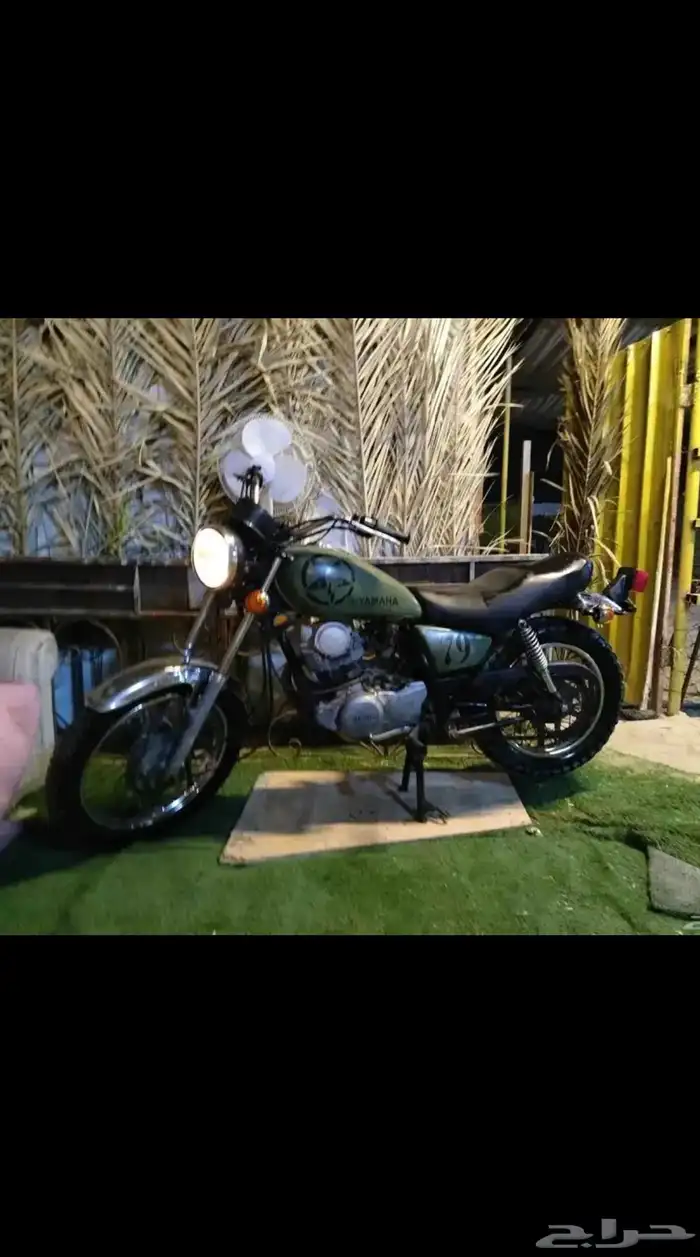 ( مطلوب ) ياماها 250 راس واحد نفس الي ب الصور. 0