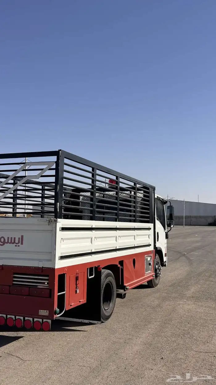 دينة ايسوزو 2011 2