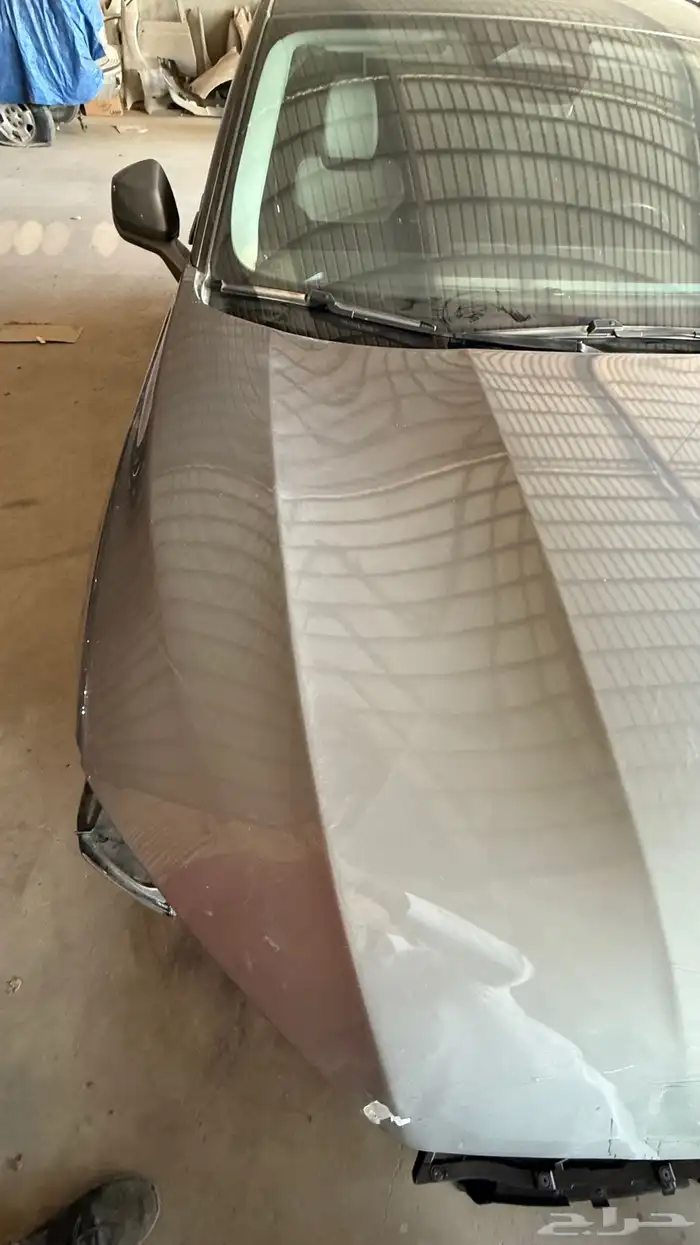 كبوت تورس 2023 - 2024 4