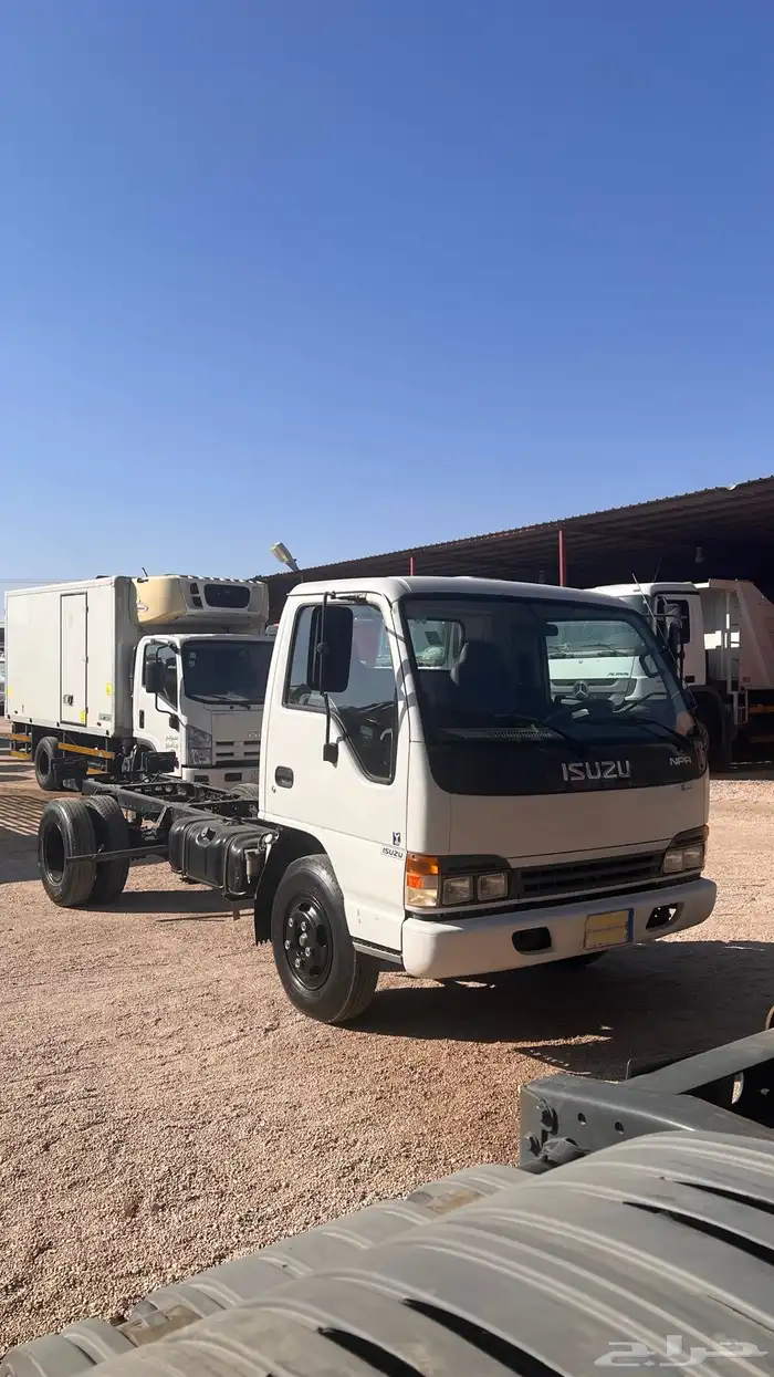 دينا ايسوزو مخزن 0