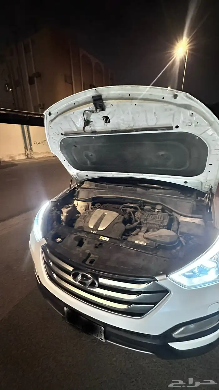 سنتافي 2015 18