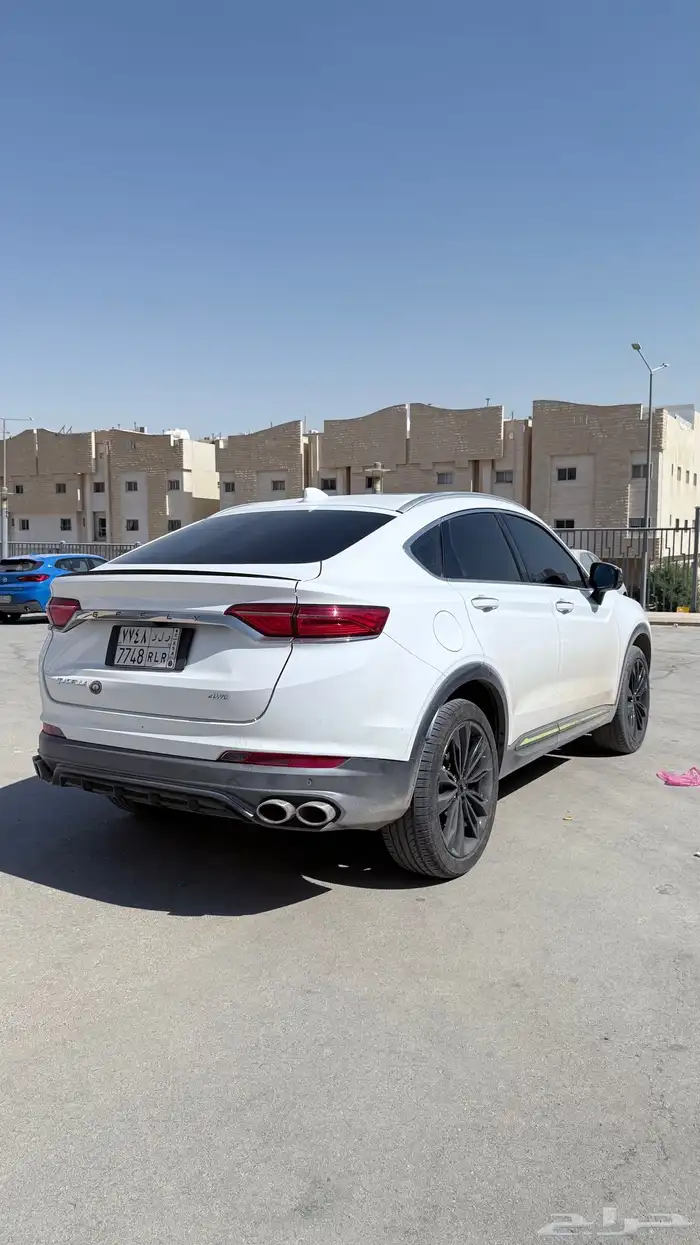 جيلي 2 جيلا 23