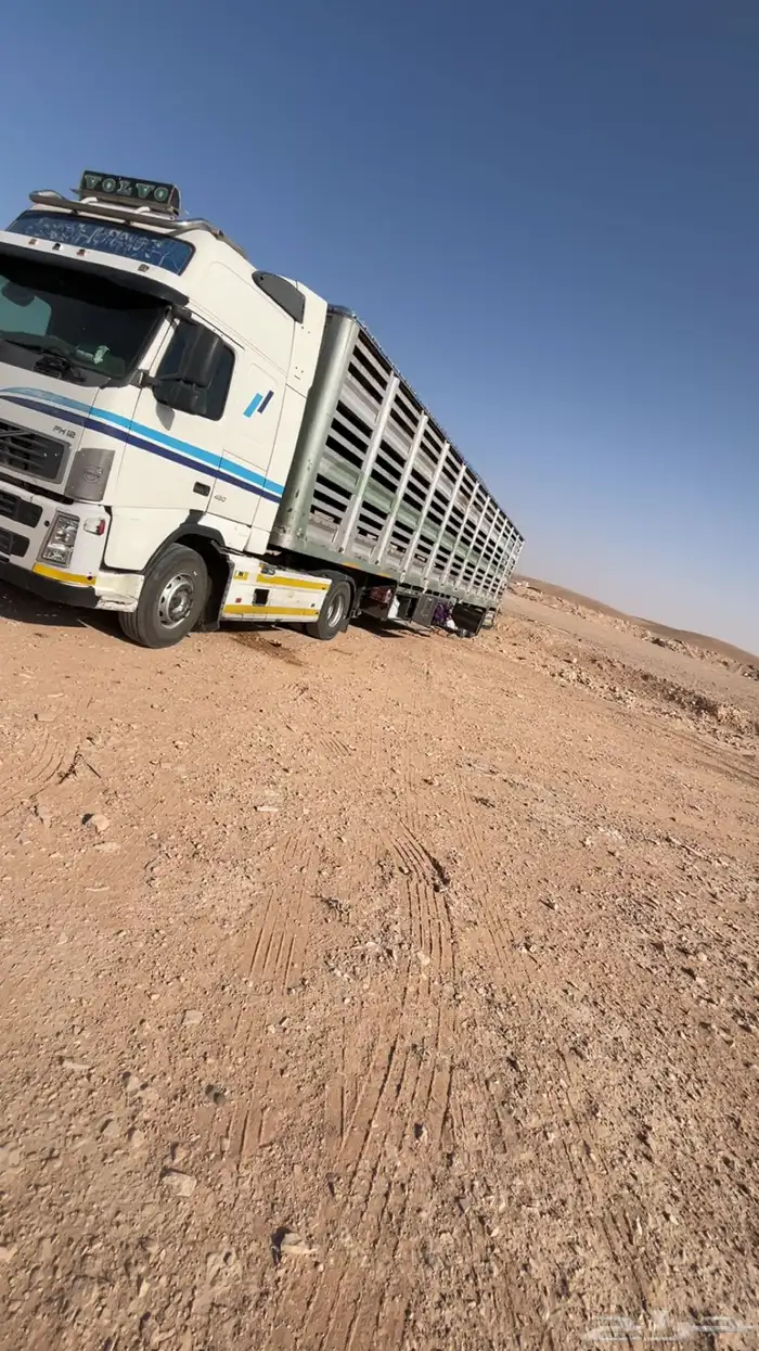 تريلا الغنامية مع مراي طول 17 متر اليدر نقل 3